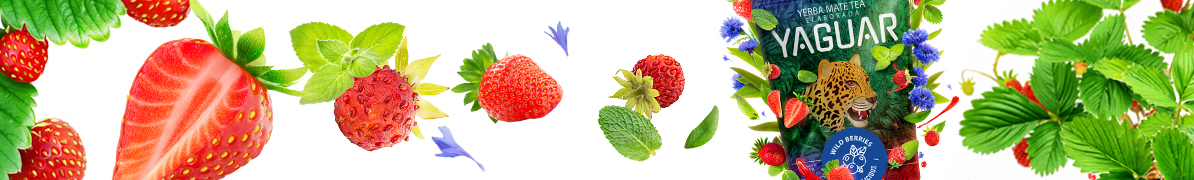 Yaguar Wild Berries - Baner