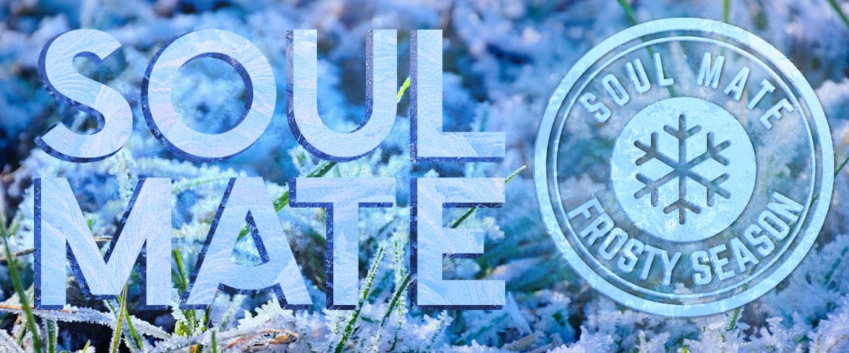 Soul Mate Frosty Season to najnowsza propozycja marki, która pobudzi i rozgrzeje!