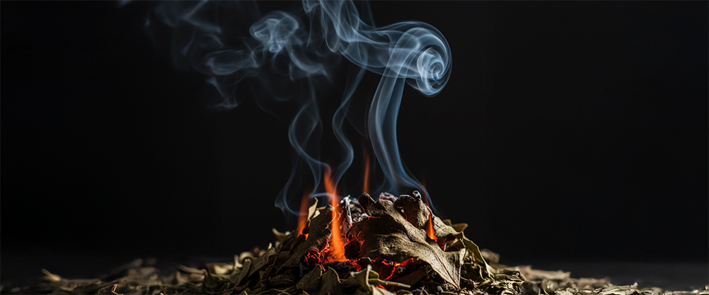 Suszenie yerba mate za pomocą ognia i dymu