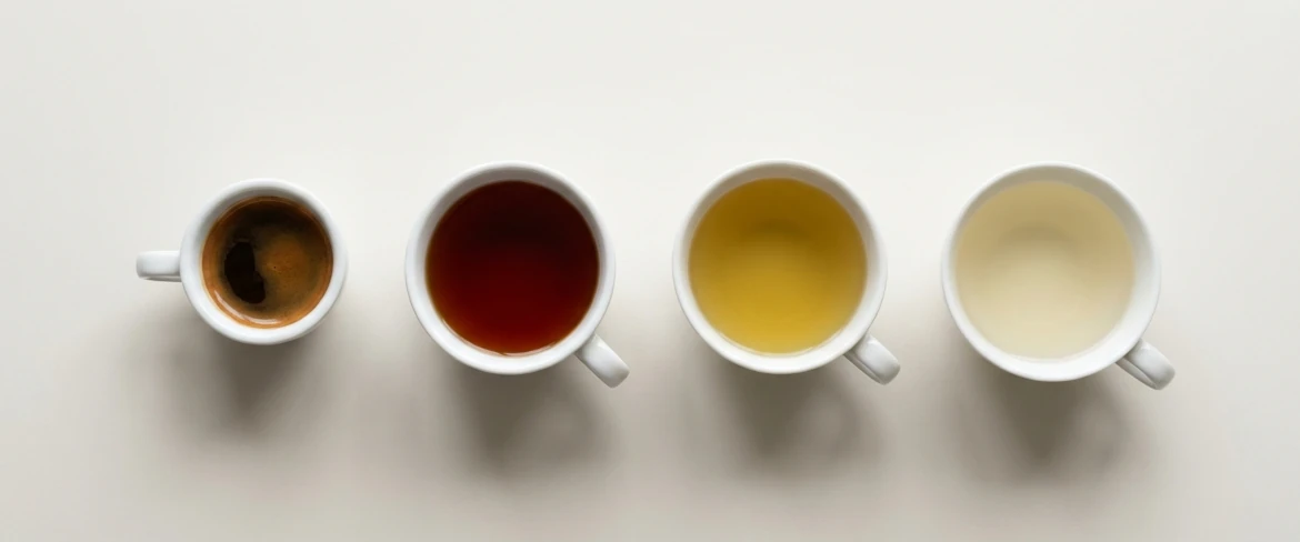 Biała herbata a kofeina – porównanie z kawą, herbatą zieloną i herbatą czarną