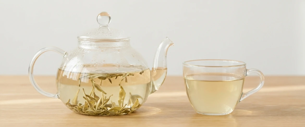 Biała herbata – parzenie. Liście rozwijające się w wodzie