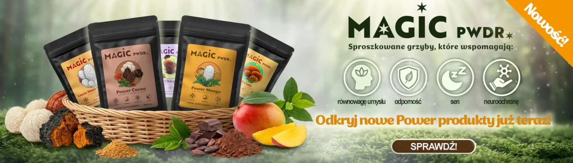 Nowości Magic Pwdr z grzybami adaptogennymi