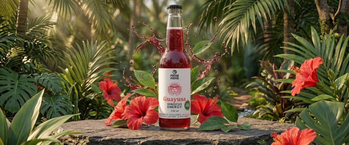 Guayusa Pachamama Cold Brew – naturalny napój z guayusy w otoczeniu roślin