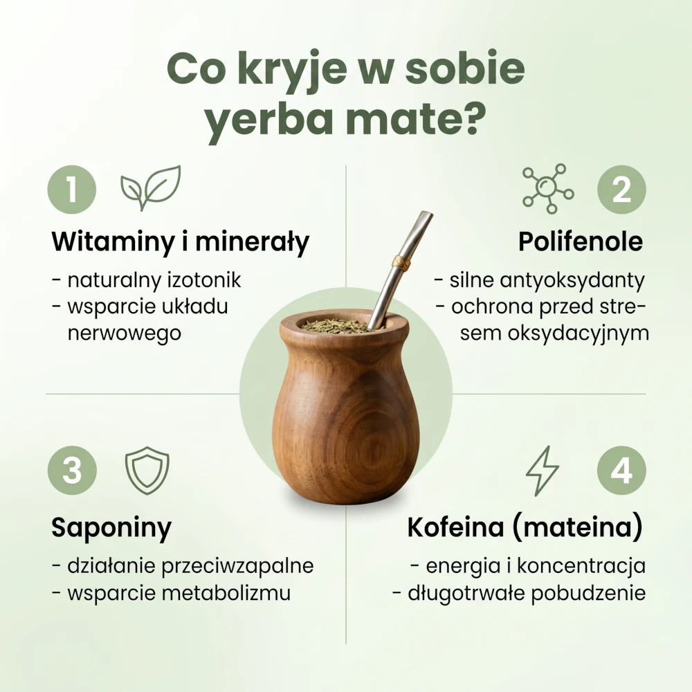 Yerba mate właściwości – witaminy minerały polifenole i kofeina – infografika