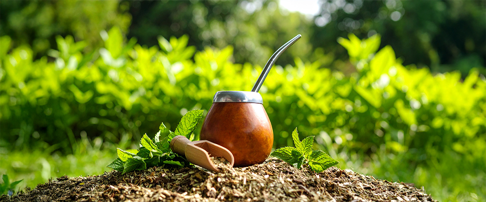 Yerba miętowa