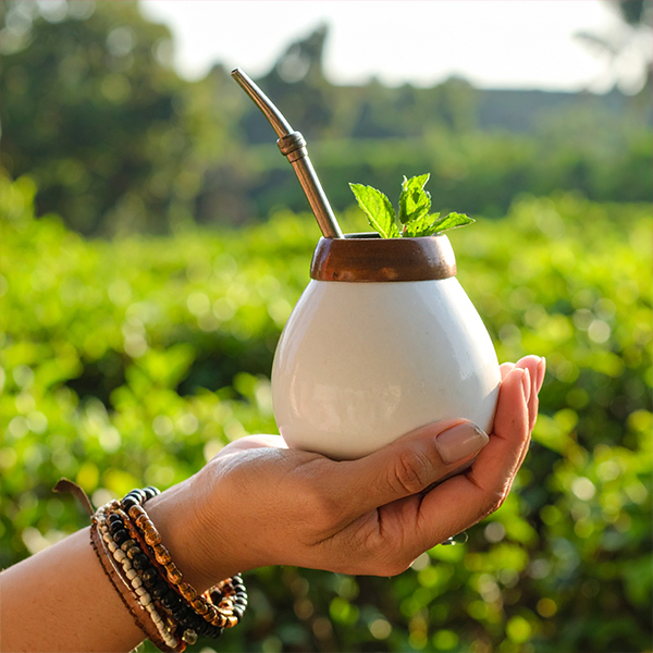 Yerba mate z miętą