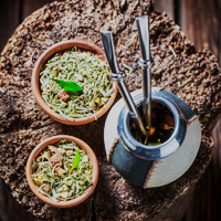 Mate jak wino – bogactwo smaku