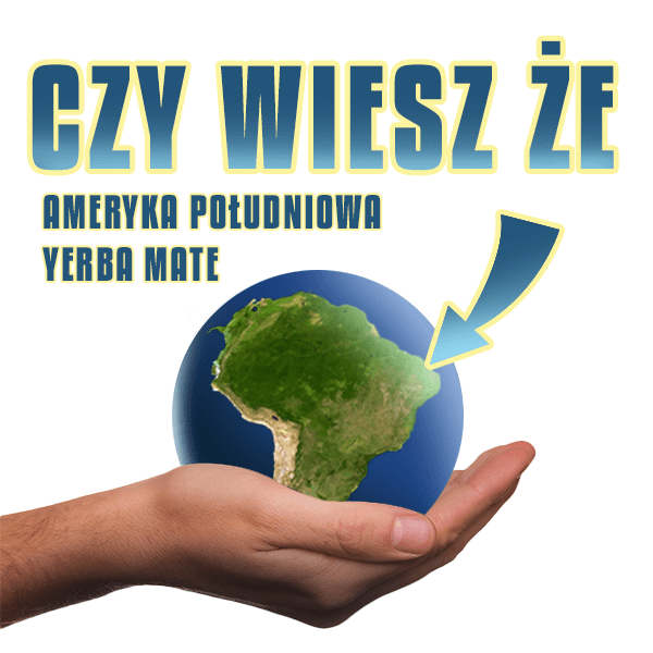 Bombilla, matero, tereré? Co to znaczy? Słownik pojęć yerba mate