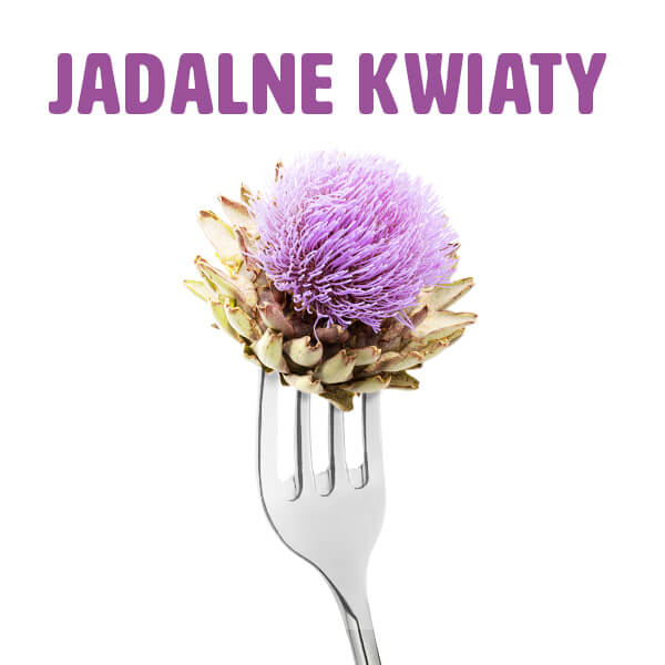 Smaczny i zdrowy dodatek do naparów — kwiaty jadalne