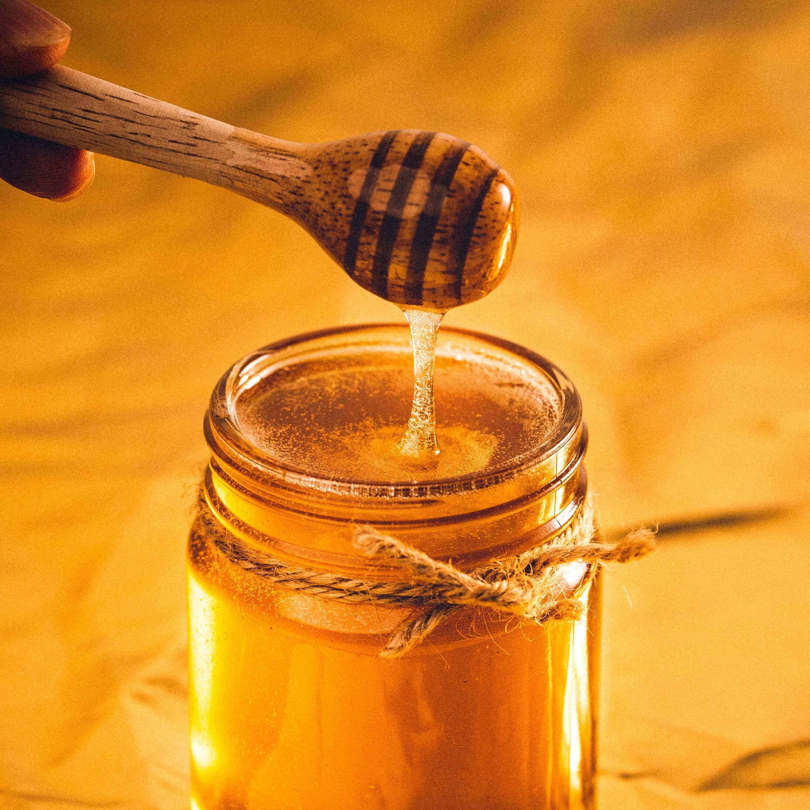 Miód słonecznikowy — nieoczywisty wybór, który powinieneś poznać