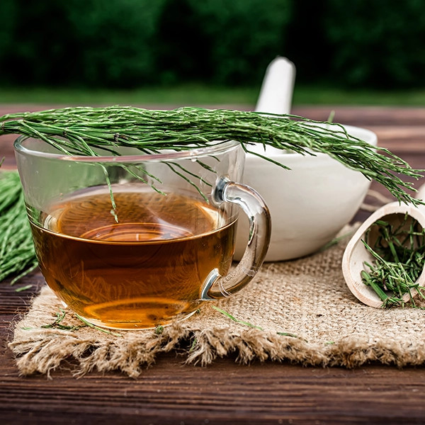 Skrzyp polny – ta roślina w 7 dni zmieni Twoje życie!