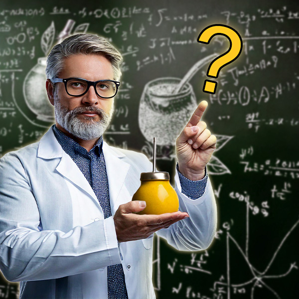 Zestaw yerba mate dla początkujących – co powinno się w nim znaleźć?