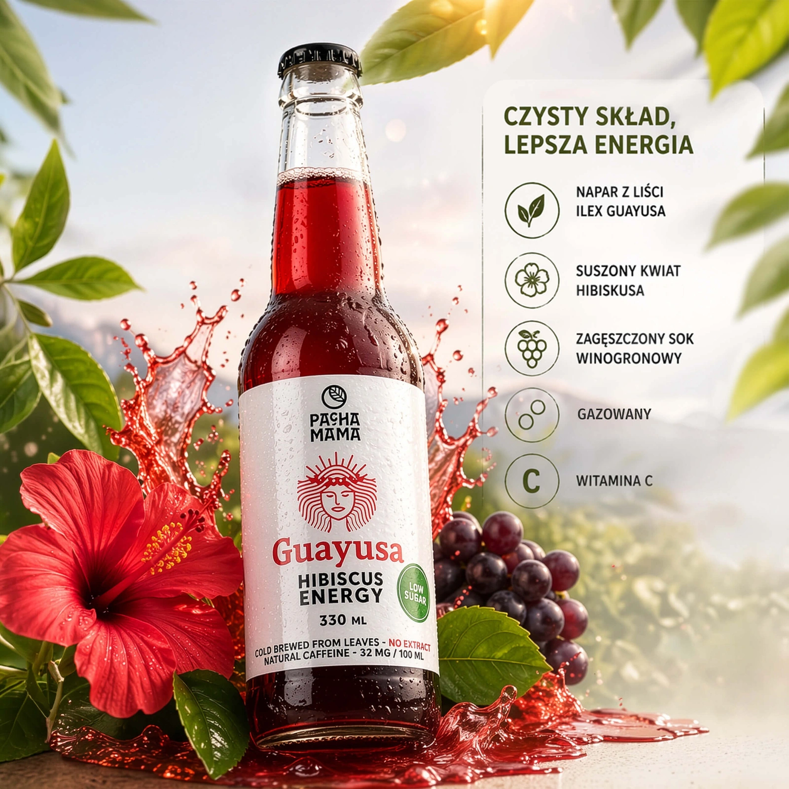 Guayusa Pachamama Cold Brew Hibiscus Energy