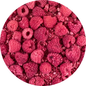 FiloLilo – Malina liofilizowana 20 g
