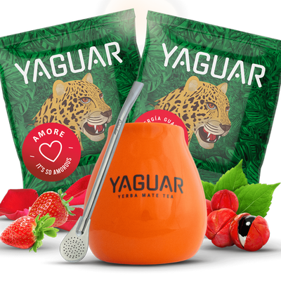 Zestaw Yerba Mate Matero + Bombilla na start