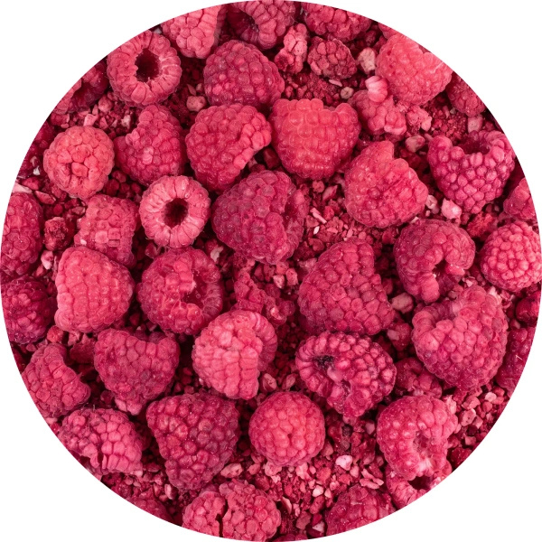 FiloLilo – Malina liofilizowana 20 g