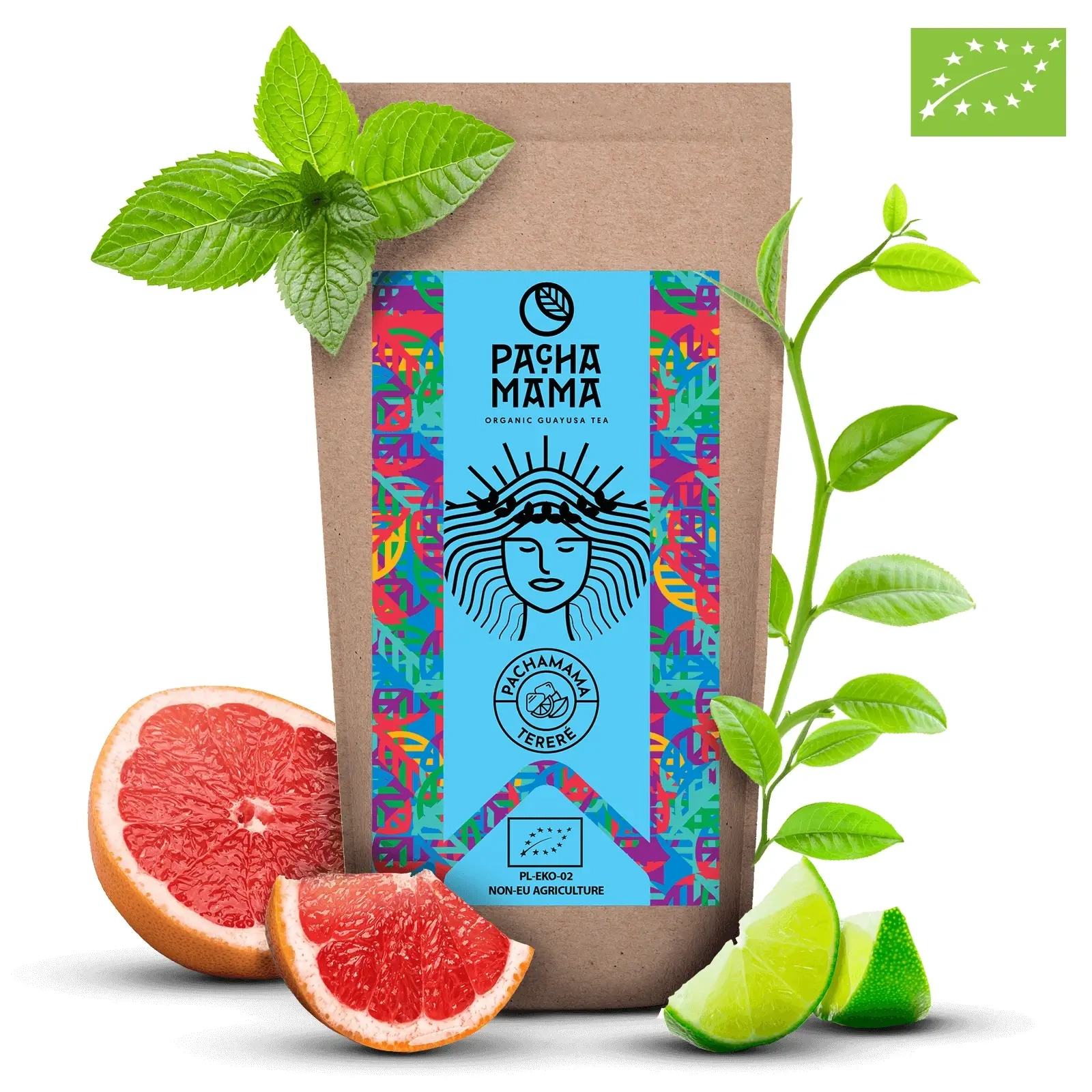 Guayusa Pachamama Tereré - Zbliżenie liści