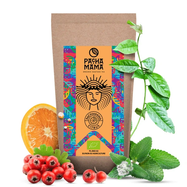 Zestaw Guayusa Pachamama 2x250g NA START
