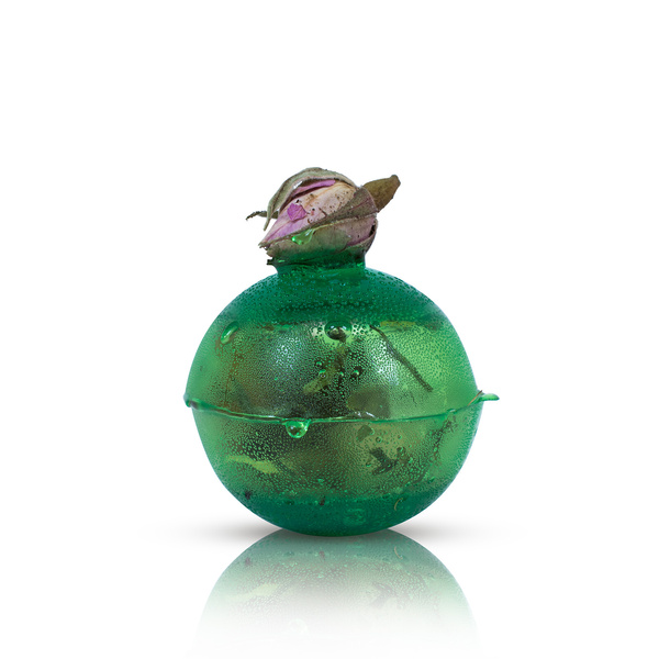 Mary Rose – Bomba herbaciana Sunny Garden (mini)