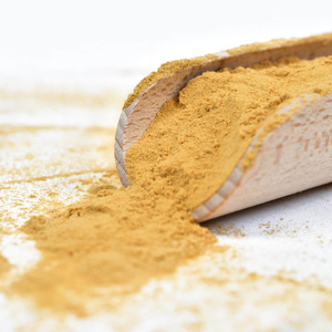 Vivarini – Lion's Mane – soplówka jeżowata 50 g