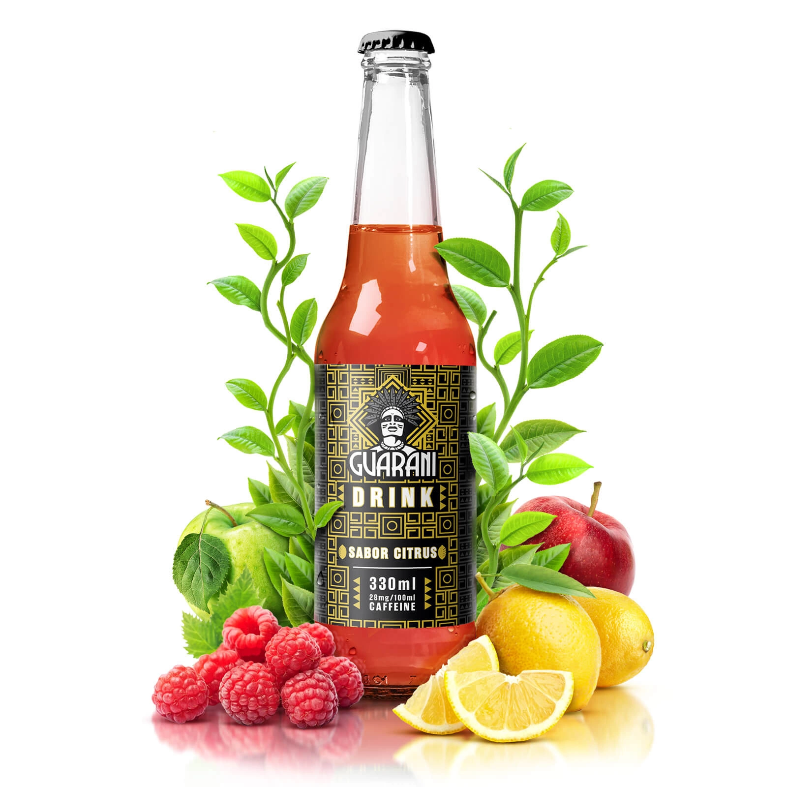 Guarani Drink Sabor Citrus