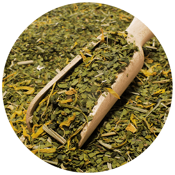 Yerbera – Puszka z Verde Mate Green Summertime 0,5kg 