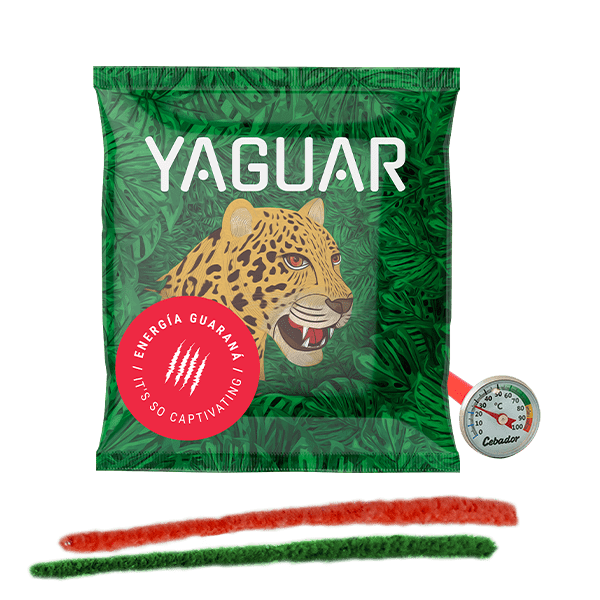 Termometr analogowy + czyściki + Yerba Mate 50g