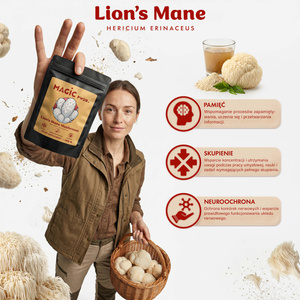 Magic Pwdr – Lion's Mane – soplówka jeżowata 100 g