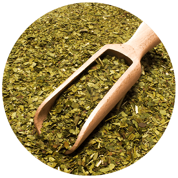 Yerbera – Puszka z Verde Mate Green Organica Energia Guarana 0,5kg