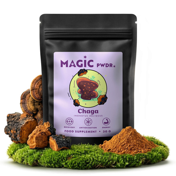 Magic Pwdr – Chaga 30 g