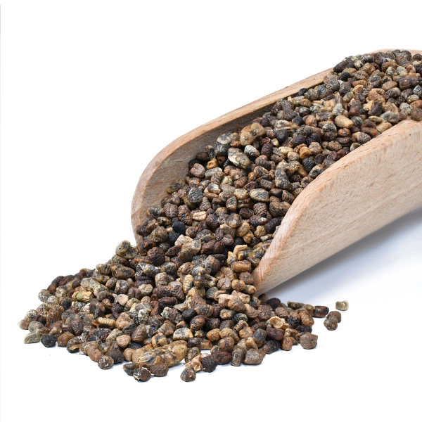 Vivarini – Kardamon (nasiona łuskane) 100 g