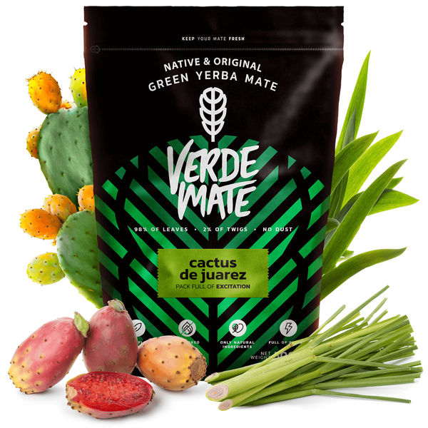 Zestaw Startowy do Yerba Mate Cactus Bombilla Matero 500g
