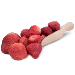 Zestaw owoców liofilizowanych FiloLilo 5x100g