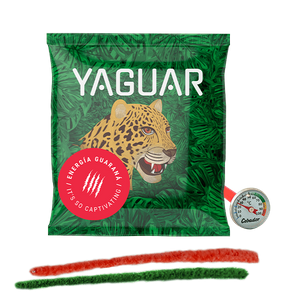 Termometr analogowy + czyściki + Yerba Mate 50g