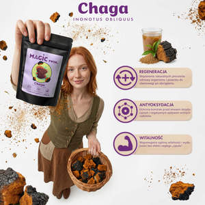 Magic Pwdr – Chaga 100 g