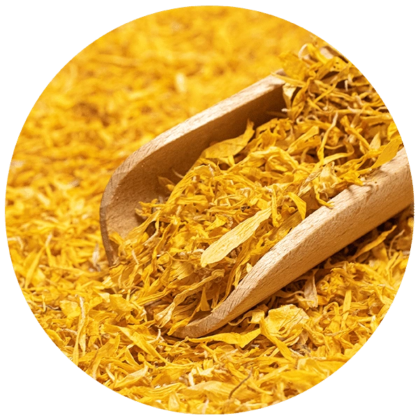 Zbliżenie na susz - w 100% naturalne kwiaty nagietka