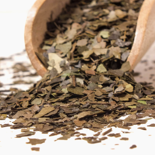 Zestaw: Yerba Mate + Guayusa Pachamama 1500g