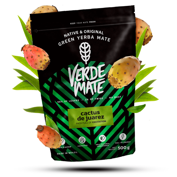 Zestaw Startowy do Yerba Mate Cactus Bombilla Matero 500g