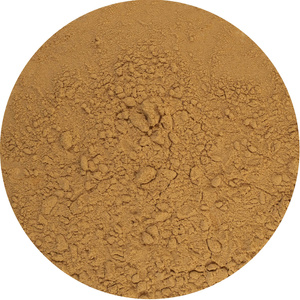 Magic Pwdr – Chaga 100 g