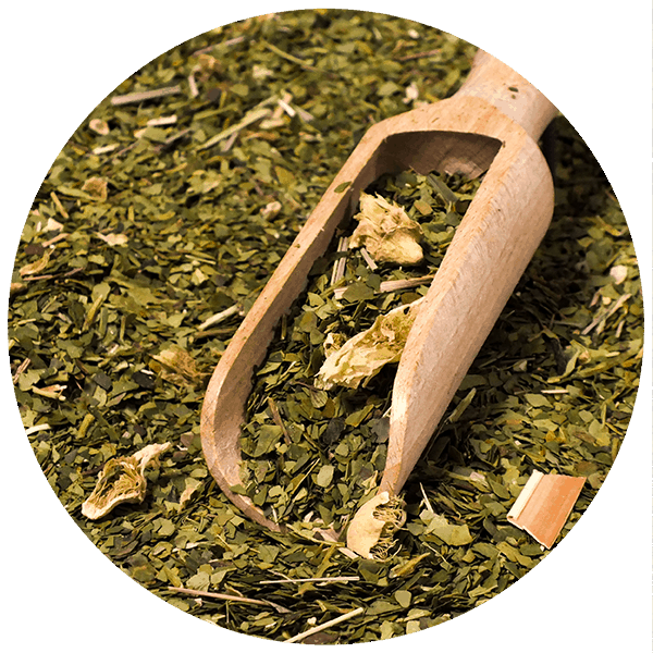 Zestaw Startowy do Yerba Mate Cactus Bombilla Matero 500g