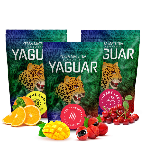 Trio yerba mate Yaguar na START dla początkujących