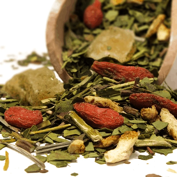 Składniki Verde Mate Green Tereré
