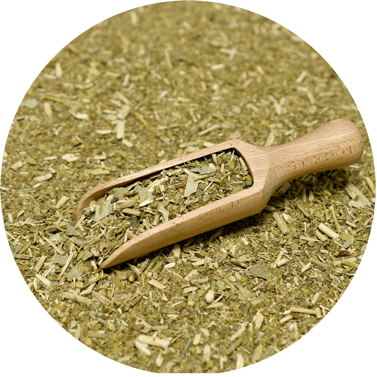 Guarani Eucalypto - detal suszu