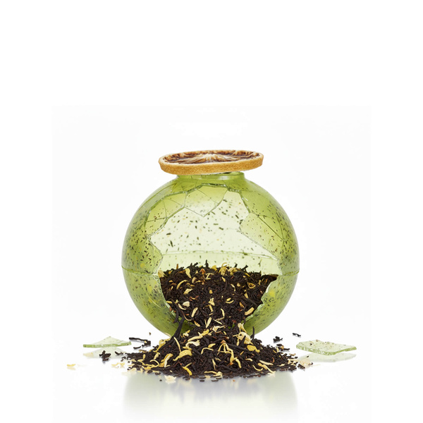 (II. kategoria) Mary Rose – Bomba herbaciana Citrus Gentleman (mini)