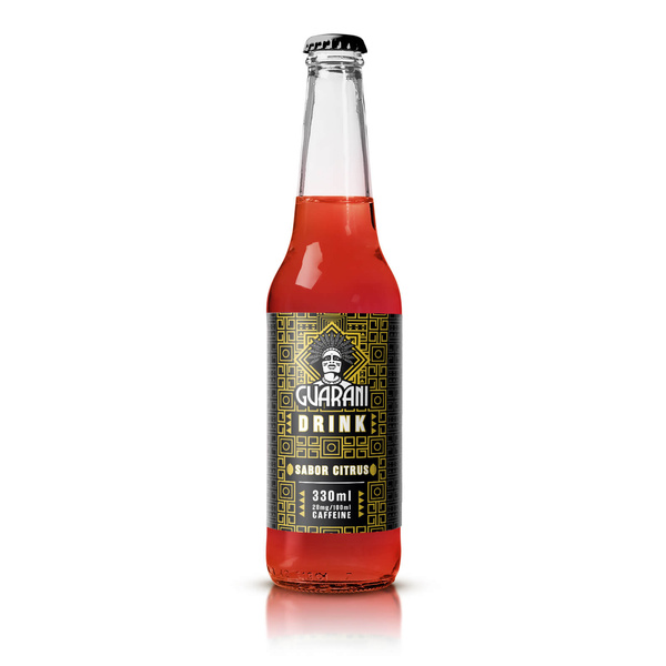 Fruit Drink Guarani – Napój owocowy z Yerba Mate – Sabor Citrus 330 ml